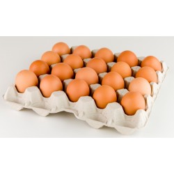 Carton de Huevos